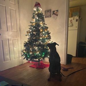 Meet your Posher, Tamiya